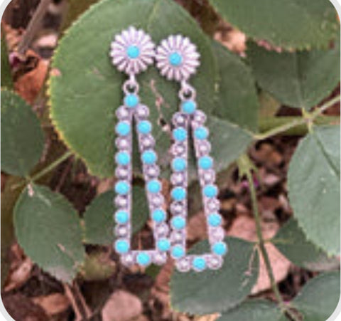 Nevada Native Earring