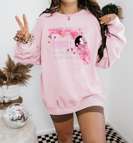 Preppy State Sweatshirt - Pink